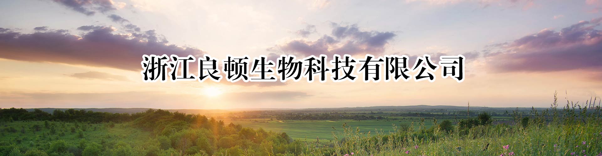 首页1